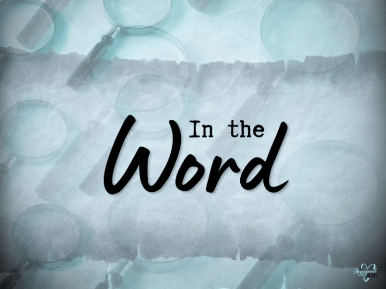 Canva Pro Creation