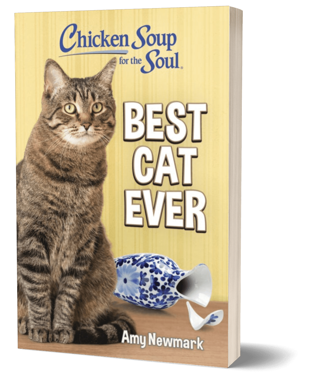 VP BookBrushImage3D-5x8-Medium-Paperback-ttyoepklsm Chicken Soup for the Soul